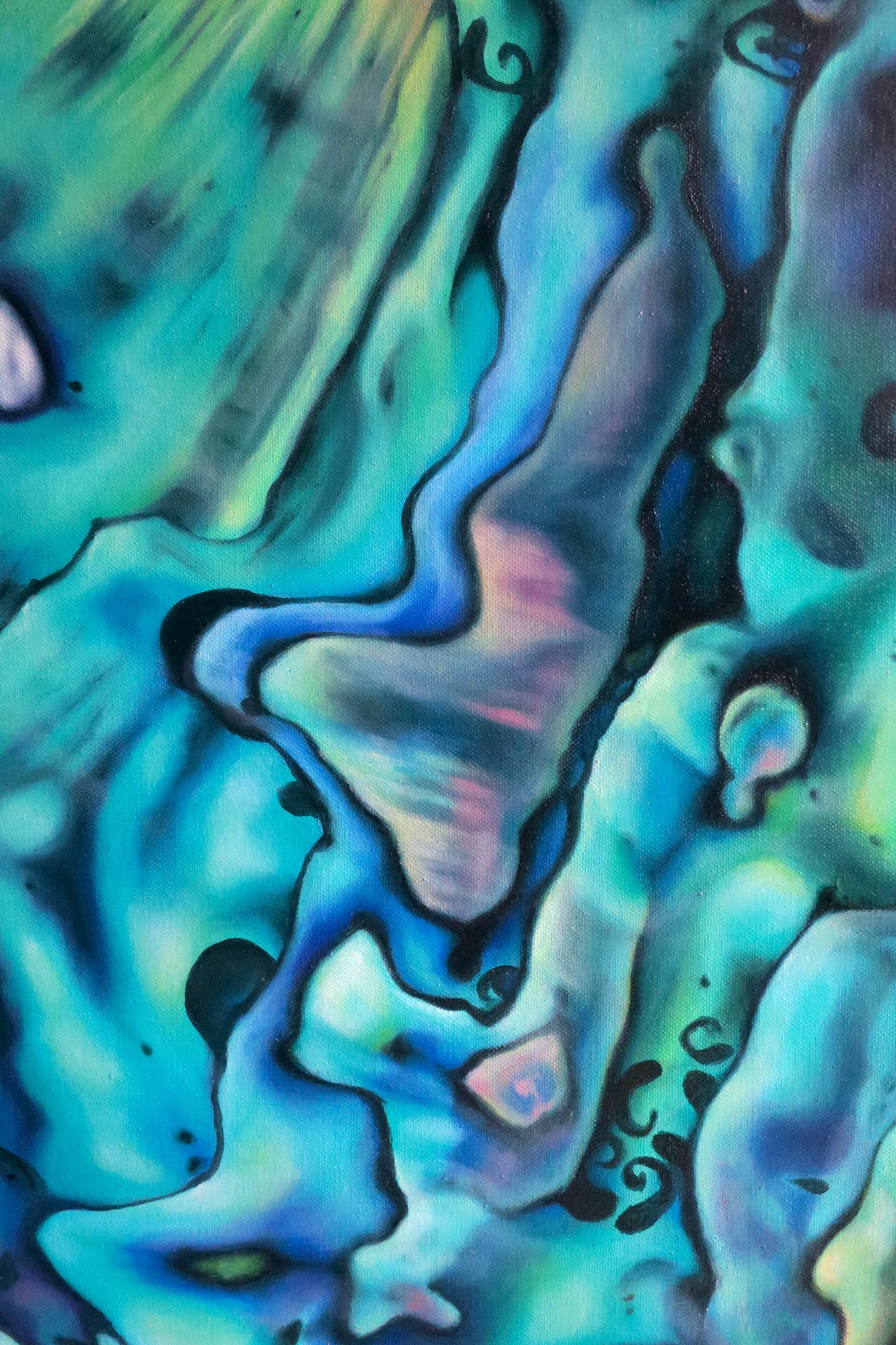 'Pāua Trip'