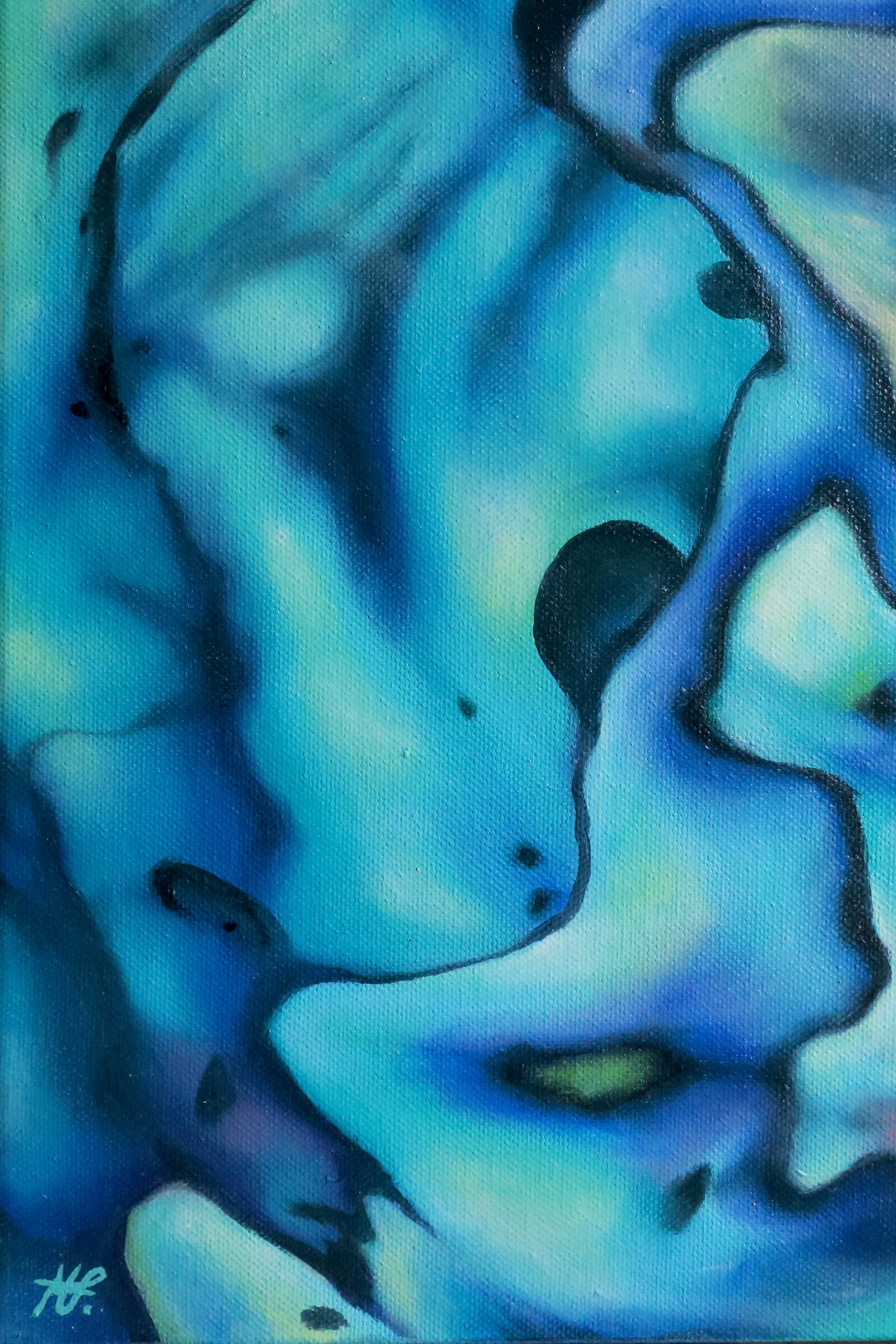 'Pāua Trip' Original