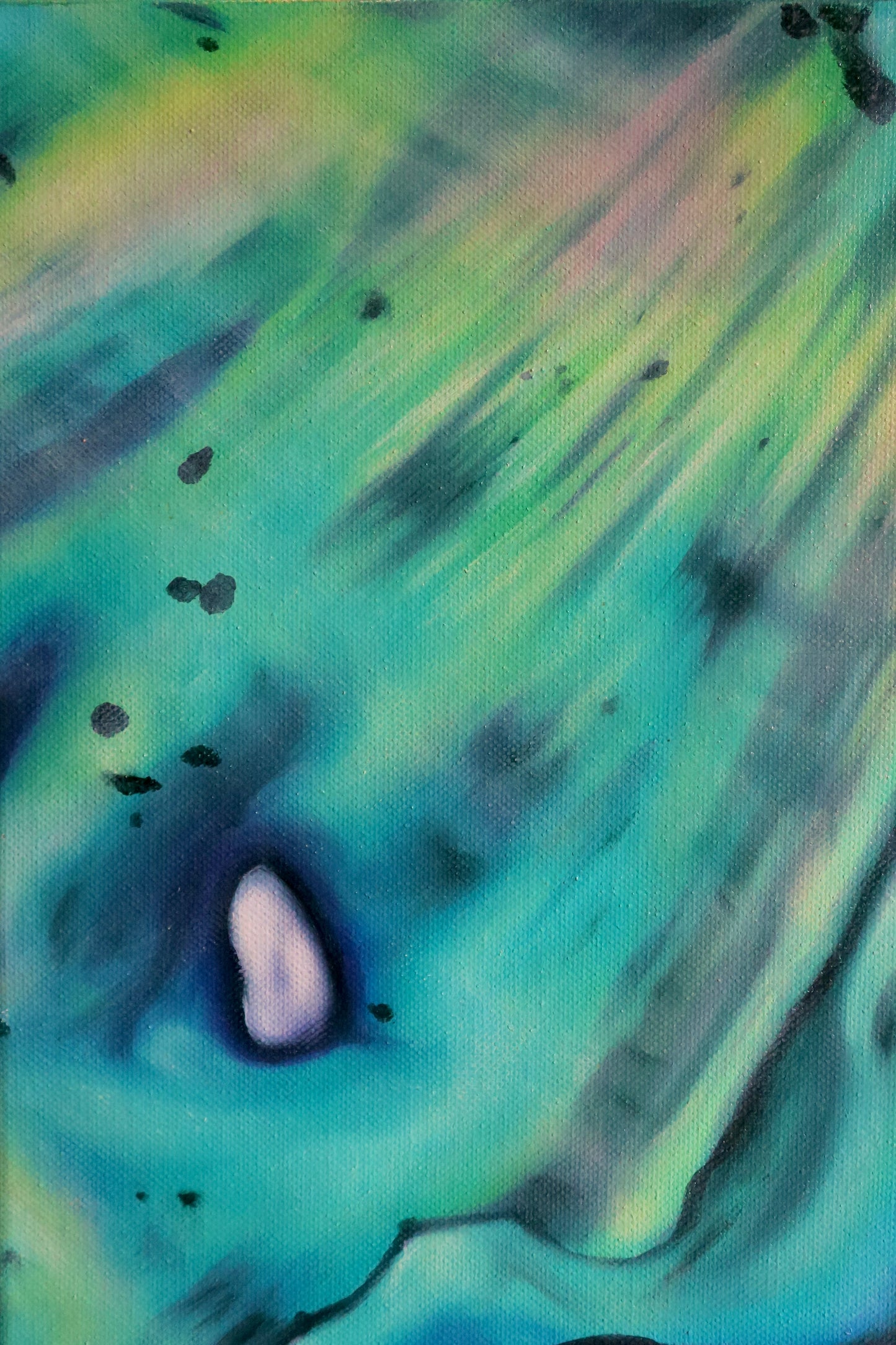 'Pāua Trip' Original