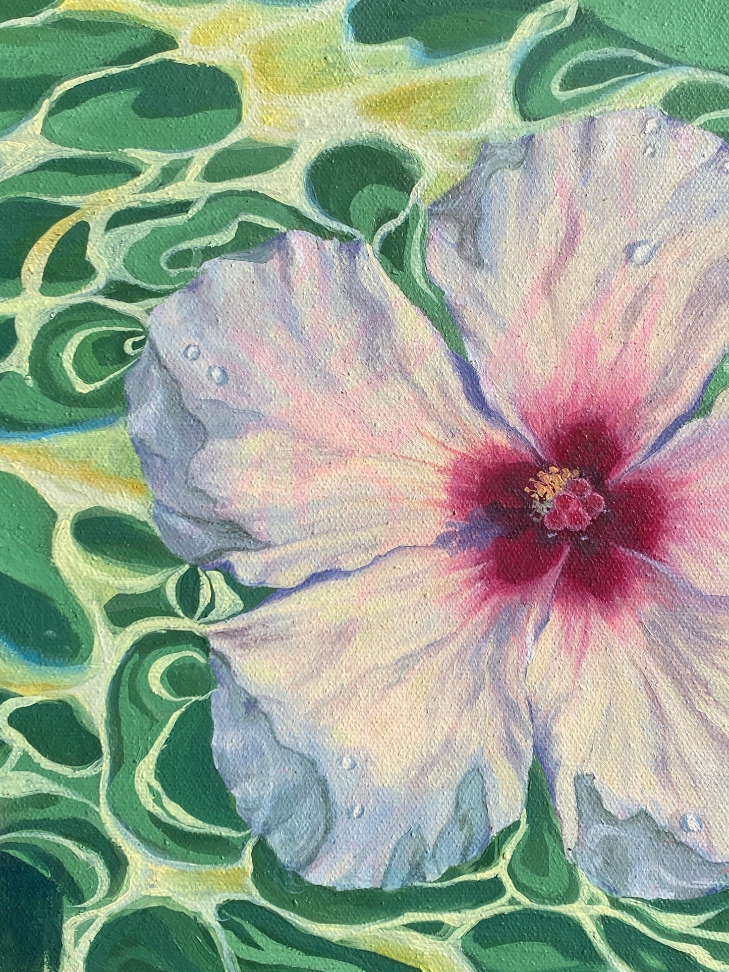'Hibiscus Dreams'