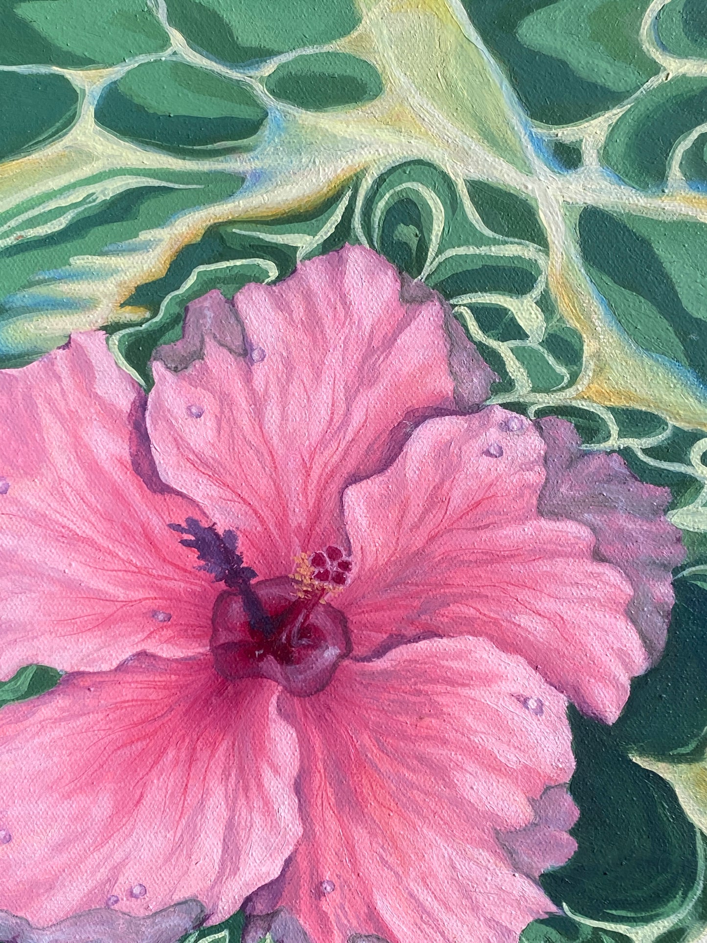 'Hibiscus Dreams'