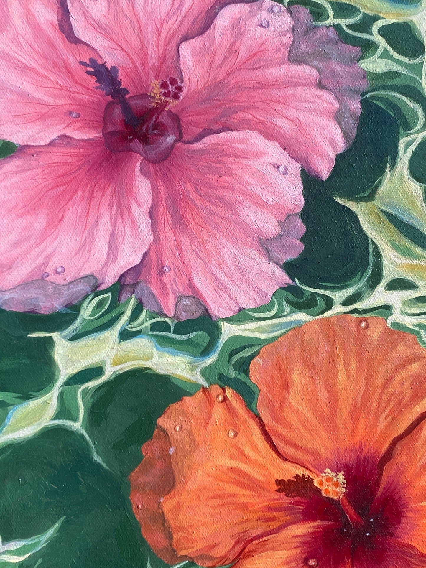 'Hibiscus Dreams'