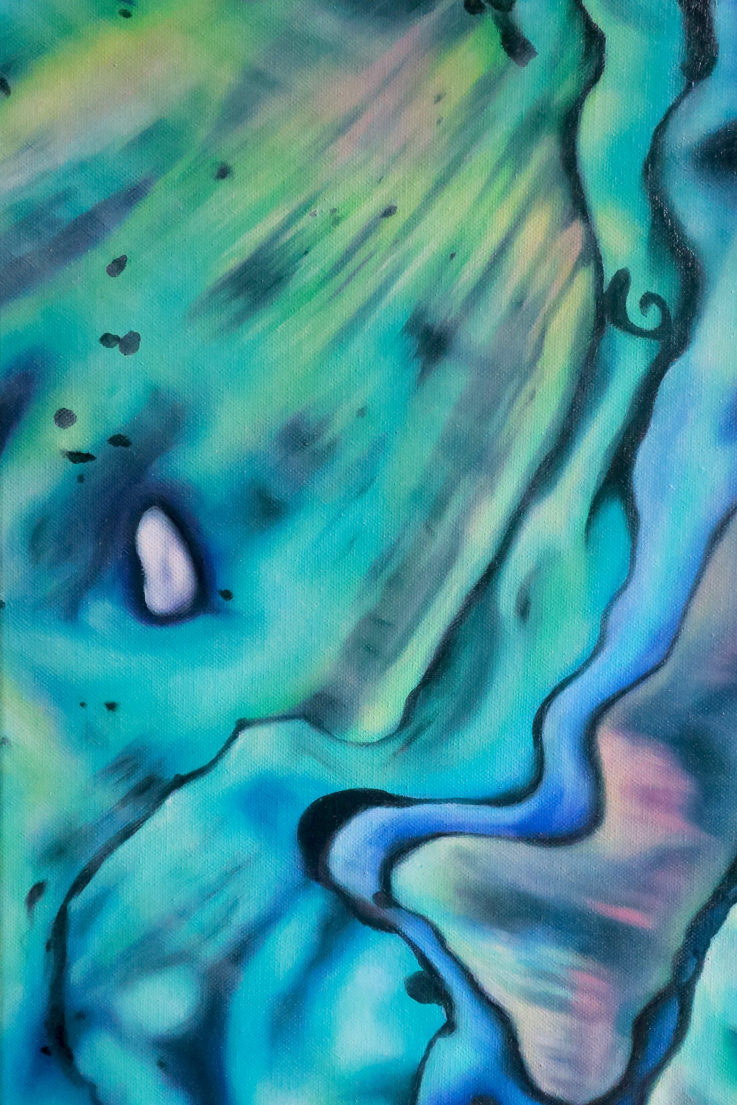 'Pāua Trip'